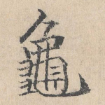 龟