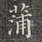 蒲