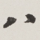 八