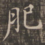 肥