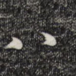 八