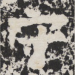 守