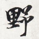 野