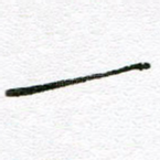 一