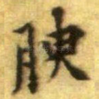 腴