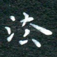 法