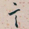 言
