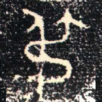 尗