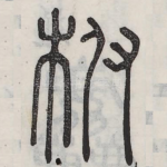 跗