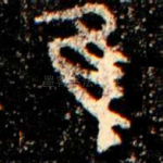 隹