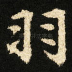 羽