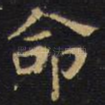 命