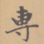 专