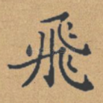 飞