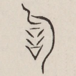 词