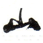 山