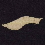 一