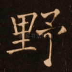 野