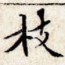 枝