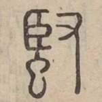 蜸