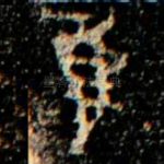 隹