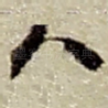 八