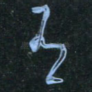 有