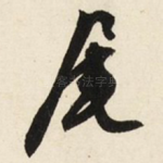 尾