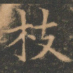 枝