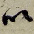 以
