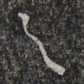 之
