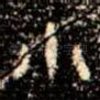 小
