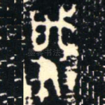 肇