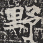 野