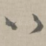 以
