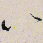 以