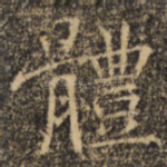 体
