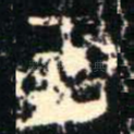 王