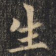 生