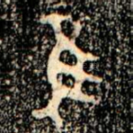 隹
