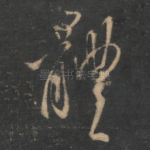 体