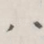 八