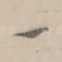 一