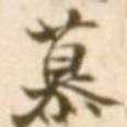 慕