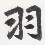 羽