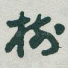 樹