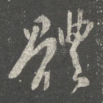 体
