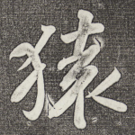猿