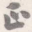 正