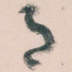 月